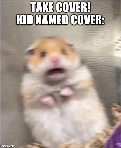 Hampter meme | TAKE COVER!
KID NAMED COVER: | image tagged in scared hamster,funny memes | made w/ Imgflip meme maker