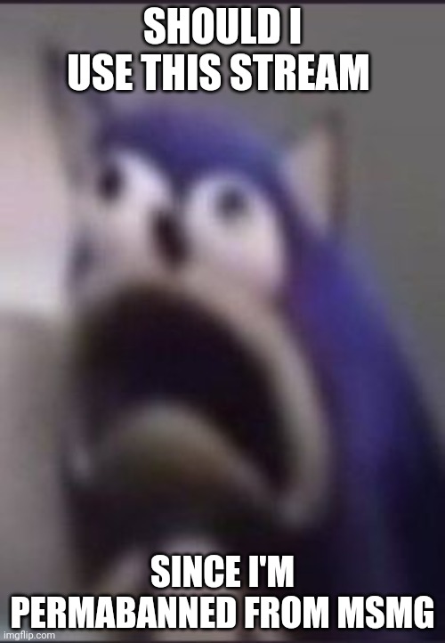 scared sonic | SHOULD I USE THIS STREAM; SINCE I'M PERMABANNED FROM MSMG | image tagged in scared sonic | made w/ Imgflip meme maker