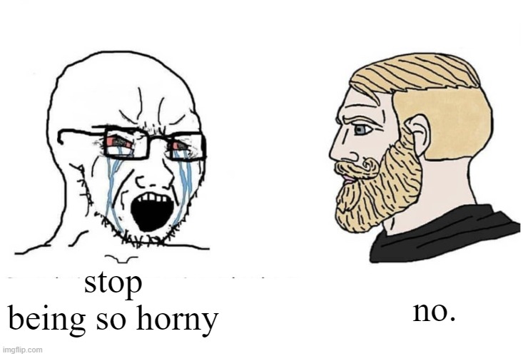 a random things i just came up with | no. stop being so horny | image tagged in soyboy vs yes chad | made w/ Imgflip meme maker