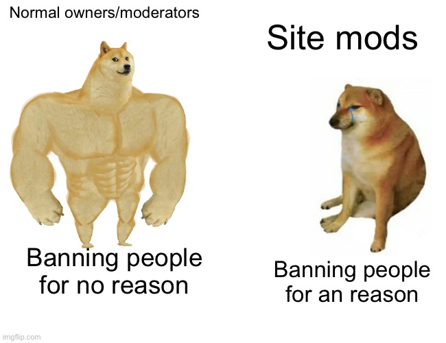 Relateable today | Normal owners/moderators; Site mods; Banning people for no reason; Banning people for an reason | image tagged in memes,buff doge vs cheems | made w/ Imgflip meme maker