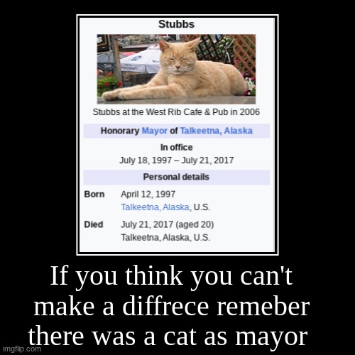 Best mayor | If you think you can't make a difference remember there was a cat as mayor | | image tagged in funny,demotivationals,cat | made w/ Imgflip demotivational maker