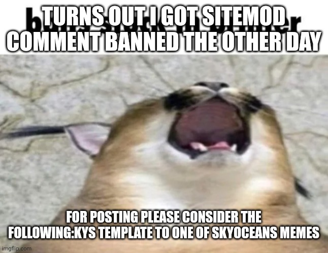 Balls stuck In printer | TURNS OUT I GOT SITEMOD COMMENT BANNED THE OTHER DAY; FOR POSTING PLEASE CONSIDER THE FOLLOWING:KYS TEMPLATE TO ONE OF SKYOCEANS MEMES | image tagged in balls stuck in printer | made w/ Imgflip meme maker