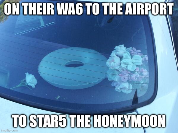 Honeymoon | ON THEIR WA6 TO THE AIRPORT; TO STAR5 THE HONEYMOON | image tagged in honeymoon | made w/ Imgflip meme maker