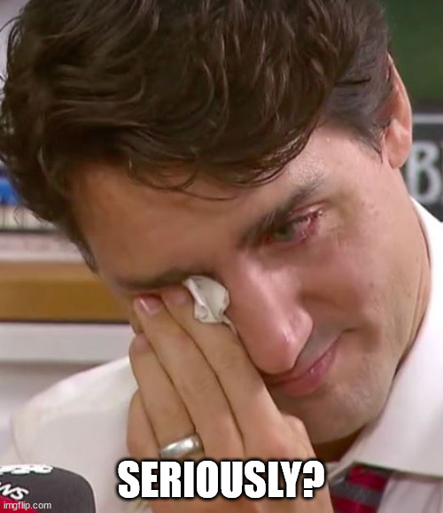 Justin Trudeau Crying | SERIOUSLY? | image tagged in justin trudeau crying | made w/ Imgflip meme maker