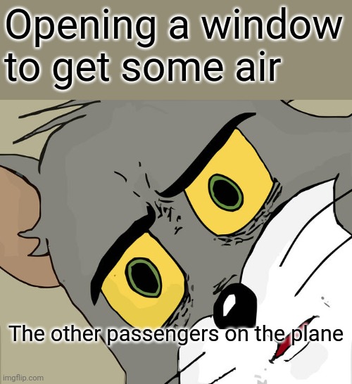 Airplane windows | Opening a window to get some air; The other passengers on the plane | image tagged in memes,unsettled tom | made w/ Imgflip meme maker