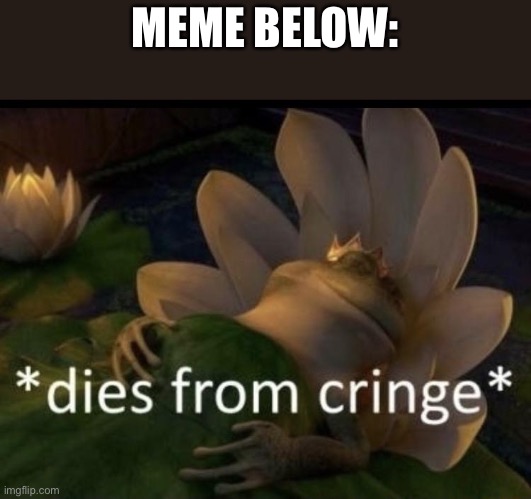 Dies from cringe | MEME BELOW: | image tagged in dies from cringe | made w/ Imgflip meme maker