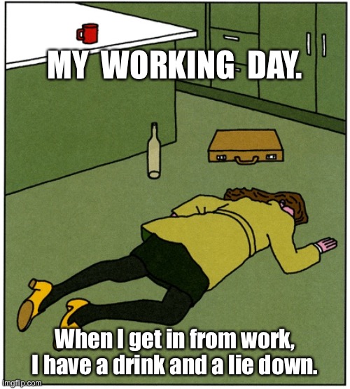 My working day | MY  WORKING  DAY. When I get in from work, I have a drink and a lie down. | image tagged in comics,get home,have a drink,lie down | made w/ Imgflip meme maker