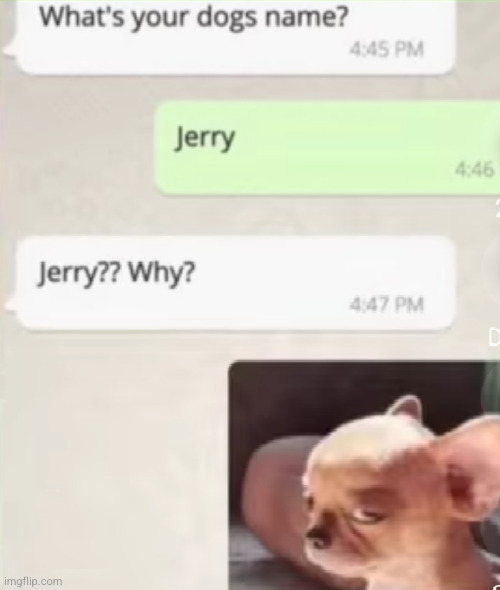 does he got a cat named tom? | image tagged in tom and jerry,jerry,funny,dog,funny texts,cartoon | made w/ Imgflip meme maker