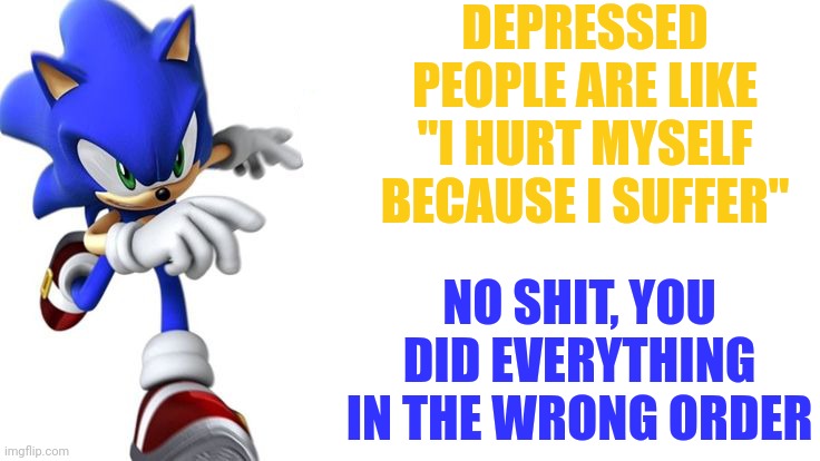 Sonic says | DEPRESSED PEOPLE ARE LIKE "I HURT MYSELF BECAUSE I SUFFER"; NO SHIT, YOU DID EVERYTHING IN THE WRONG ORDER | image tagged in sonic says | made w/ Imgflip meme maker