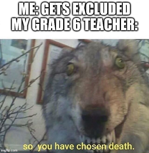 WHYYYYYYYYYY | ME: GETS EXCLUDED
MY GRADE 6 TEACHER: | image tagged in so you have chosen death,school,teacher | made w/ Imgflip meme maker
