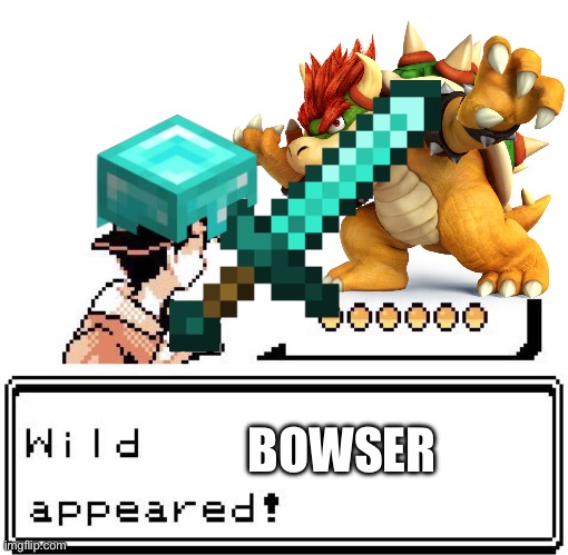 Trainer Used Sharpness 1024 Diamond Sword | BOWSER | image tagged in blank wild pokemon appears | made w/ Imgflip meme maker