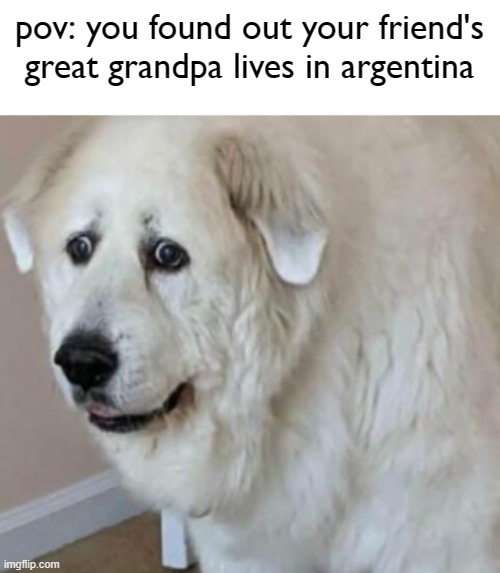 bro... | pov: you found out your friend's
great grandpa lives in argentina | image tagged in wtf,history,dogs | made w/ Imgflip meme maker