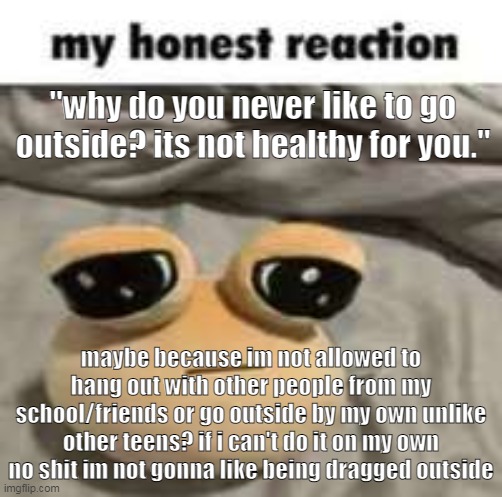 no shit sherlock | "why do you never like to go outside? its not healthy for you."; maybe because im not allowed to hang out with other people from my school/friends or go outside by my own unlike other teens? if i can't do it on my own no shit im not gonna like being dragged outside | image tagged in my honest reaction | made w/ Imgflip meme maker