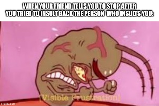 my friends always side with the person who insults me | WHEN YOUR FRIEND TELLS YOU TO STOP AFTER YOU TRIED TO INSULT BACK THE PERSON  WHO INSULTS YOU: | image tagged in visible frustration | made w/ Imgflip meme maker