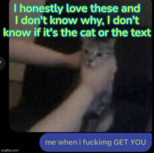 Tbh it's both (it doesn't say no no word see! It's spelt wrong!) | I honestly love these and I don't know why, I don't know if it's the cat or the text | made w/ Imgflip meme maker