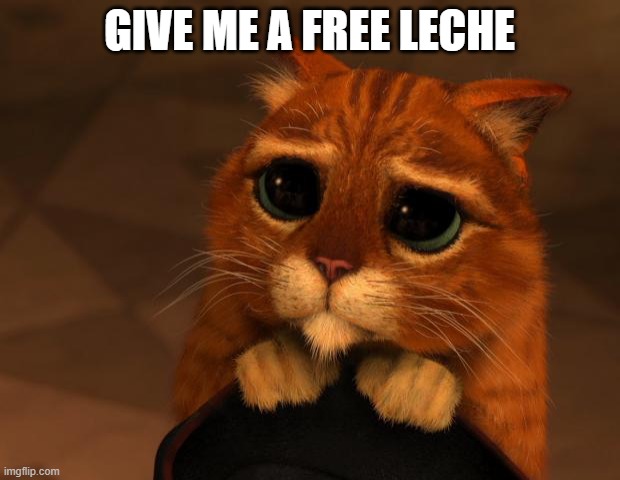puss in boots eyes | GIVE ME A FREE LECHE | image tagged in puss in boots eyes | made w/ Imgflip meme maker