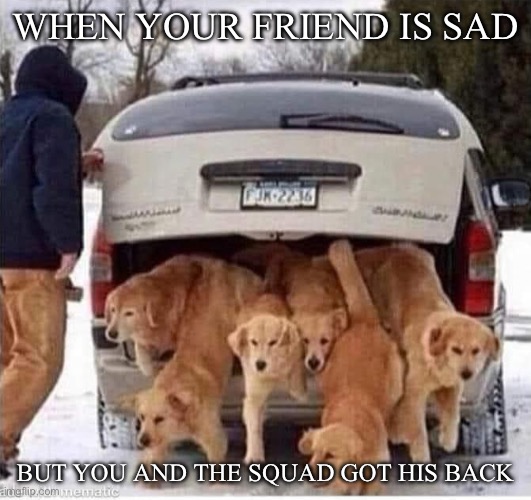 Sad | WHEN YOUR FRIEND IS SAD; BUT YOU AND THE SQUAD GOT HIS BACK | image tagged in dogs,squad | made w/ Imgflip meme maker