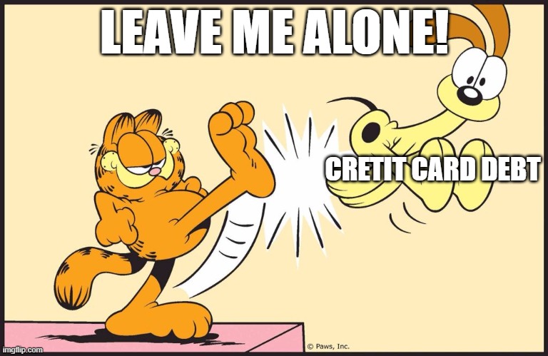 Garfield kicking odie | LEAVE ME ALONE! CRETIT CARD DEBT | image tagged in garfield kicking odie | made w/ Imgflip meme maker