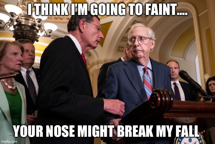 I THINK I’M GOING TO FAINT…. YOUR NOSE MIGHT BREAK MY FALL | image tagged in mitch mcconnell,republicans,donald trump,politics | made w/ Imgflip meme maker