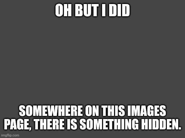 OH BUT I DID SOMEWHERE ON THIS IMAGES PAGE, THERE IS SOMETHING HIDDEN. | made w/ Imgflip meme maker