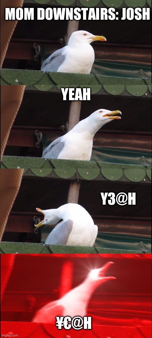 Yeah | MOM DOWNSTAIRS: JOSH; YEAH; Y3@H; ¥€@H | image tagged in memes,inhaling seagull | made w/ Imgflip meme maker