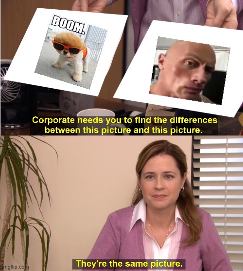 They're The Same Picture | image tagged in memes,they're the same picture | made w/ Imgflip meme maker