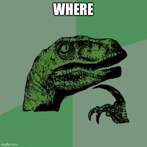 Philosoraptor Meme | WHERE | image tagged in memes,philosoraptor | made w/ Imgflip meme maker
