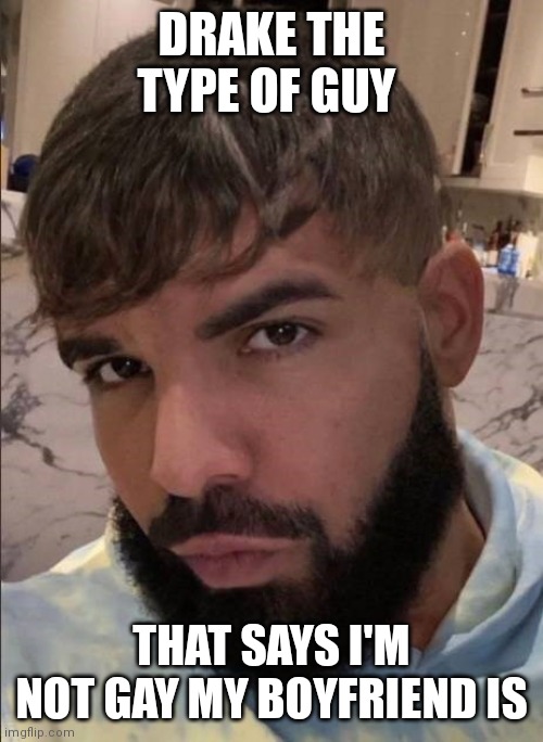 Drake the type of guy | DRAKE THE TYPE OF GUY; THAT SAYS I'M NOT GAY MY BOYFRIEND IS | image tagged in drake the type of guy | made w/ Imgflip meme maker
