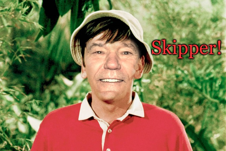Skipper! | made w/ Imgflip meme maker