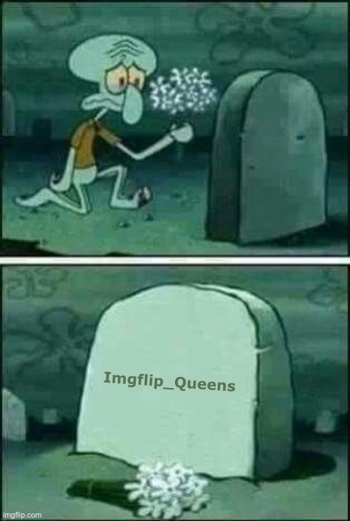 Such a dead stream… | Imgflip_Queens | image tagged in imgflip queens,dead stream,i kinda miss this stream | made w/ Imgflip meme maker