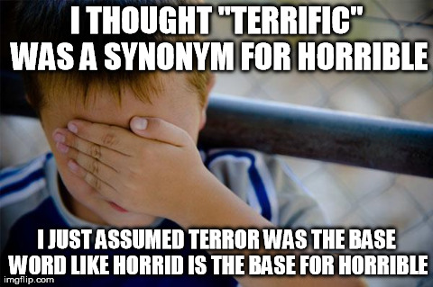 Confession Kid Meme | I THOUGHT "TERRIFIC" WAS A SYNONYM FOR HORRIBLE I JUST ASSUMED TERROR WAS THE BASE WORD LIKE HORRID IS THE BASE FOR HORRIBLE | image tagged in memes,confession kid | made w/ Imgflip meme maker