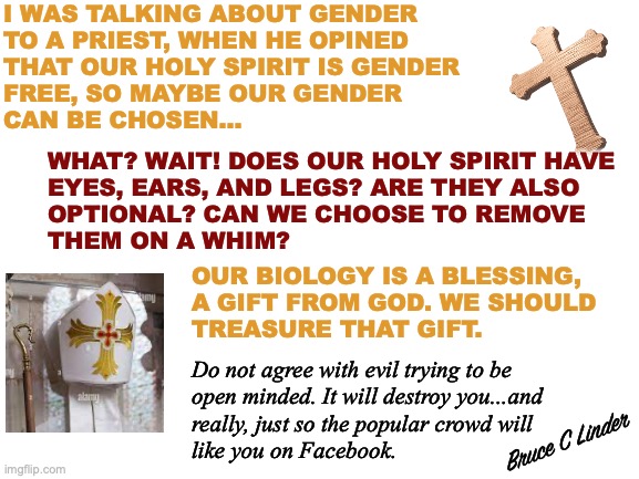Choosing well | I WAS TALKING ABOUT GENDER
TO A PRIEST, WHEN HE OPINED
THAT OUR HOLY SPIRIT IS GENDER
FREE, SO MAYBE OUR GENDER
CAN BE CHOSEN... WHAT? WAIT! DOES OUR HOLY SPIRIT HAVE
EYES, EARS, AND LEGS? ARE THEY ALSO
OPTIONAL? CAN WE CHOOSE TO REMOVE
THEM ON A WHIM? OUR BIOLOGY IS A BLESSING,
A GIFT FROM GOD. WE SHOULD
TREASURE THAT GIFT. Do not agree with evil trying to be
open minded. It will destroy you...and
really, just so the popular crowd will
like you on Facebook. Bruce C Linder | image tagged in catholic priest,gender,holy spirit,open minded,evil,likes | made w/ Imgflip meme maker