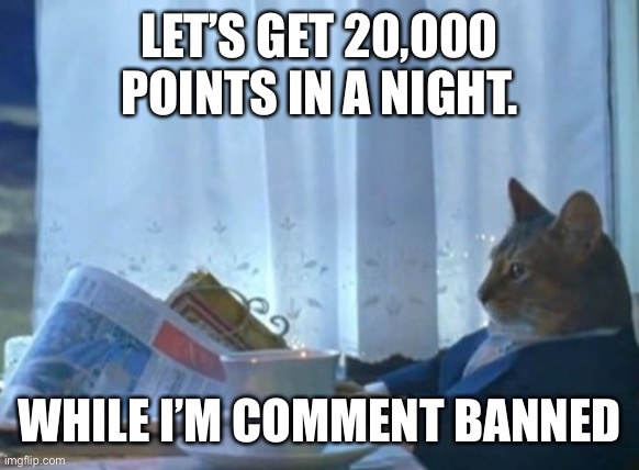 Let’s prove comments aren’t needed for points | LET’S GET 20,000 POINTS IN A NIGHT. WHILE I’M COMMENT BANNED | image tagged in memes,i should buy a boat cat | made w/ Imgflip meme maker