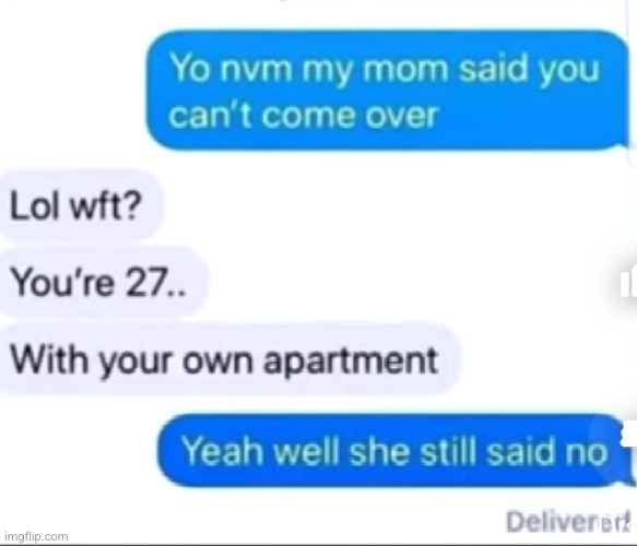 some people respect too much | image tagged in funny texts,mom,akward,bruh moment,funny,adults | made w/ Imgflip meme maker
