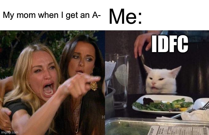 Woman Yelling At Cat | My mom when I get an A-; Me:; IDFC | image tagged in memes,woman yelling at cat | made w/ Imgflip meme maker