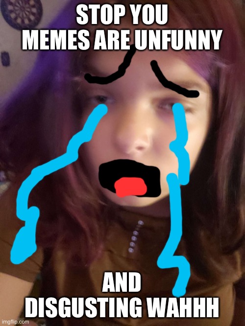 STAWP | STOP YOU MEMES ARE UNFUNNY; AND DISGUSTING WAHHH | image tagged in funny | made w/ Imgflip meme maker