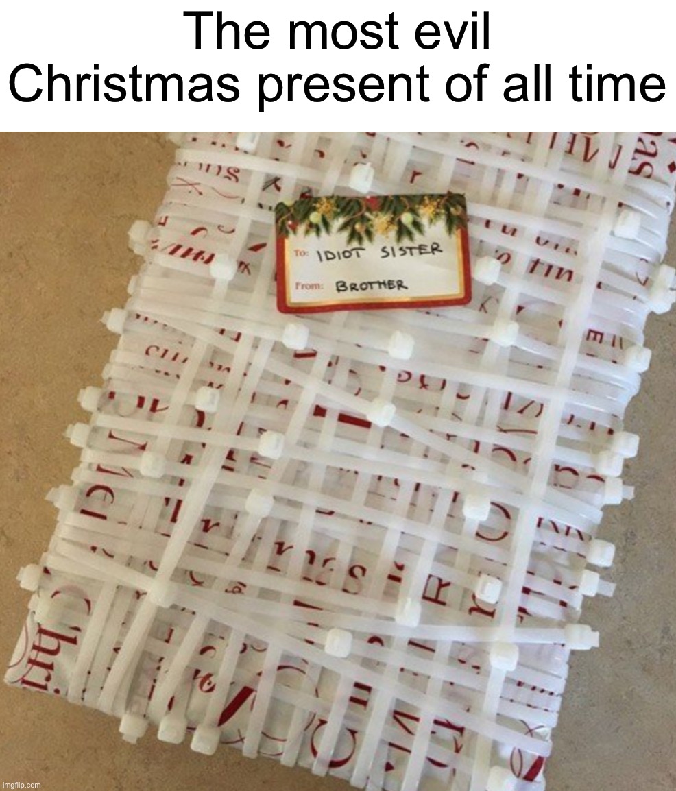 Who would do this? | The most evil Christmas present of all time | image tagged in memes,funny,christmas,funny memes,present,evil | made w/ Imgflip meme maker