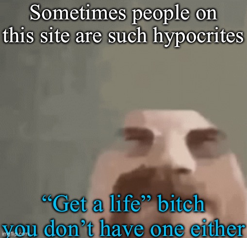 mod note: fr | Sometimes people on this site are such hypocrites; “Get a life” bitch you don’t have one either | image tagged in heisenburger | made w/ Imgflip meme maker