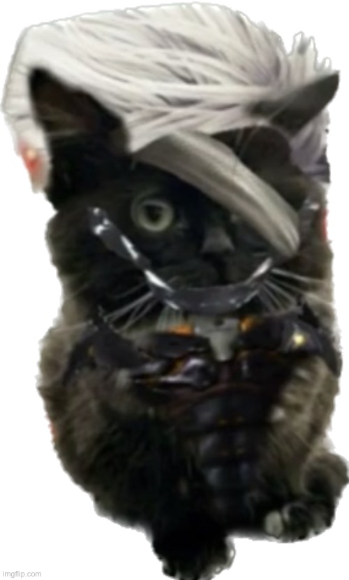 the boy is transparent | image tagged in raiden cat transparent | made w/ Imgflip meme maker