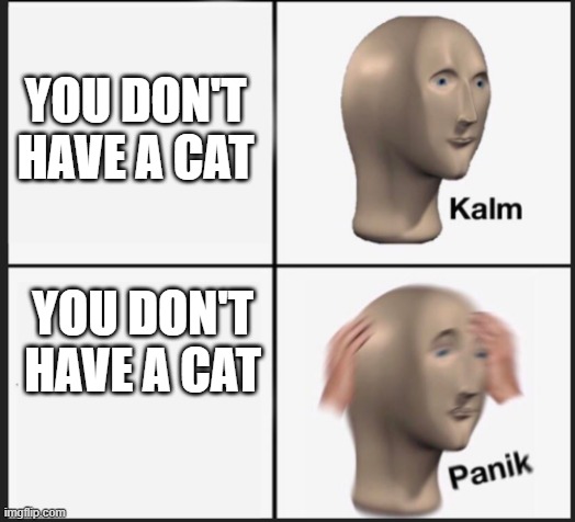 Calm Panic | YOU DON'T HAVE A CAT YOU DON'T HAVE A CAT | image tagged in calm panic | made w/ Imgflip meme maker