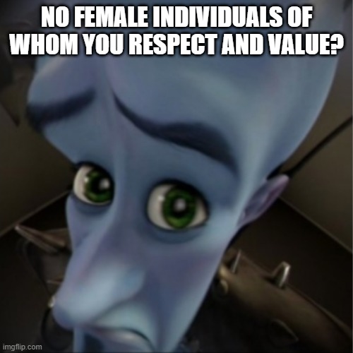 Megamind peeking | NO FEMALE INDIVIDUALS OF WHOM YOU RESPECT AND VALUE? | image tagged in megamind peeking | made w/ Imgflip meme maker