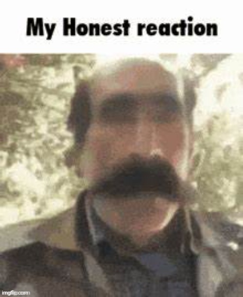 my honest reaction | image tagged in my honest reaction | made w/ Imgflip meme maker