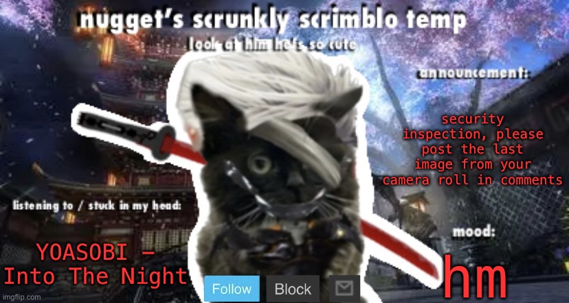 Nugget’s Scrunkly Scrimblo Temp | security inspection, please post the last image from your camera roll in comments; YOASOBI - Into The Night; hm | image tagged in nugget s scrunkly scrimblo temp | made w/ Imgflip meme maker