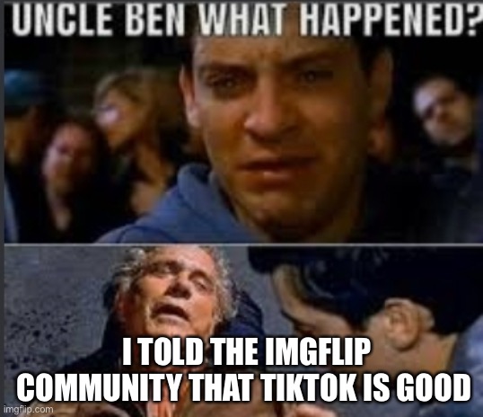 Shouldn’t have said that | I TOLD THE IMGFLIP COMMUNITY THAT TIKTOK IS GOOD | image tagged in uncle ben what happened,tiktok | made w/ Imgflip meme maker