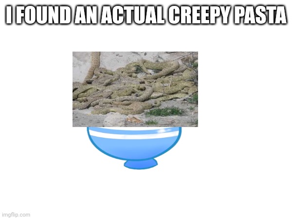 I FOUND AN ACTUAL CREEPY PASTA | image tagged in rattlesnakes | made w/ Imgflip meme maker