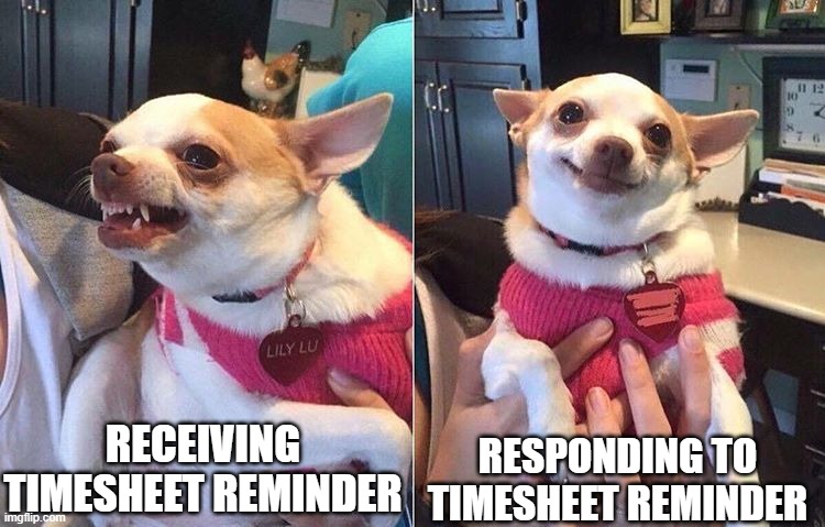 Timesheets | RECEIVING TIMESHEET REMINDER; RESPONDING TO TIMESHEET REMINDER | image tagged in angry dog meme | made w/ Imgflip meme maker