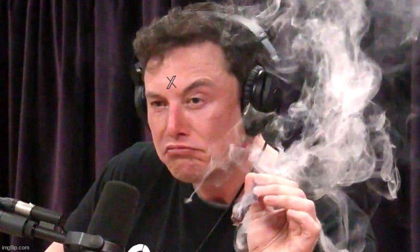 X | image tagged in elon musk,twitter,x marks the spot,weed,excentic,stoned again | made w/ Imgflip meme maker
