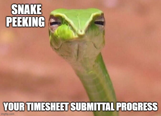 Timesheets | SNAKE PEEKING; YOUR TIMESHEET SUBMITTAL PROGRESS | image tagged in skeptical snake | made w/ Imgflip meme maker