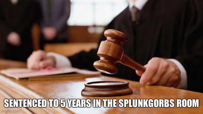 Judge Rules _____ | SENTENCED TO 5 YEARS IN THE SPLUNKGORBS ROOM | image tagged in judge rules _____ | made w/ Imgflip meme maker