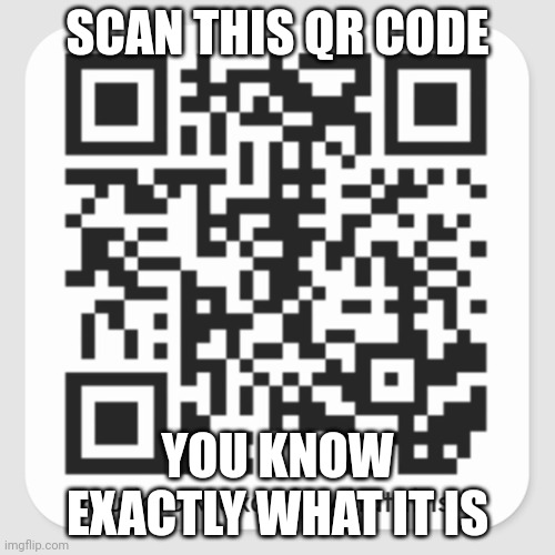 scan it | SCAN THIS QR CODE; YOU KNOW EXACTLY WHAT IT IS | image tagged in when you see it | made w/ Imgflip meme maker